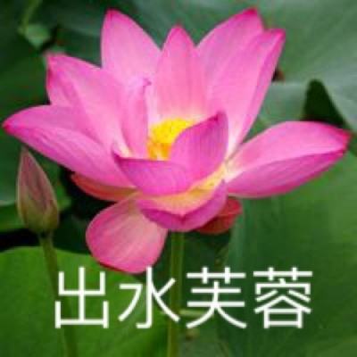 神魔西游手游破解版下载